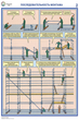ПС26 Строительные леса (конструкции, монтаж, проверка на безопасность) (ламинированная бумага, А2, 3 листа) - Плакаты - Строительство - Строительный магазин